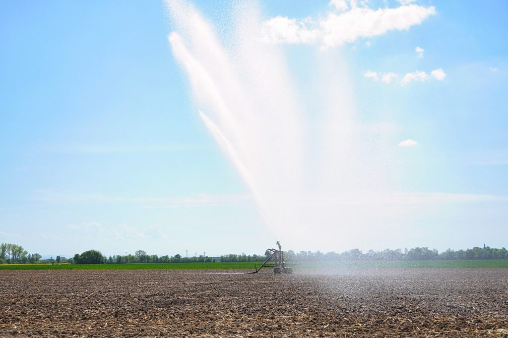 irrigation, agriculture, water-5064935.jpg